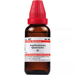 Dr Willmar Schwabe India Aspidosperma Q Mother Tincture 30ml