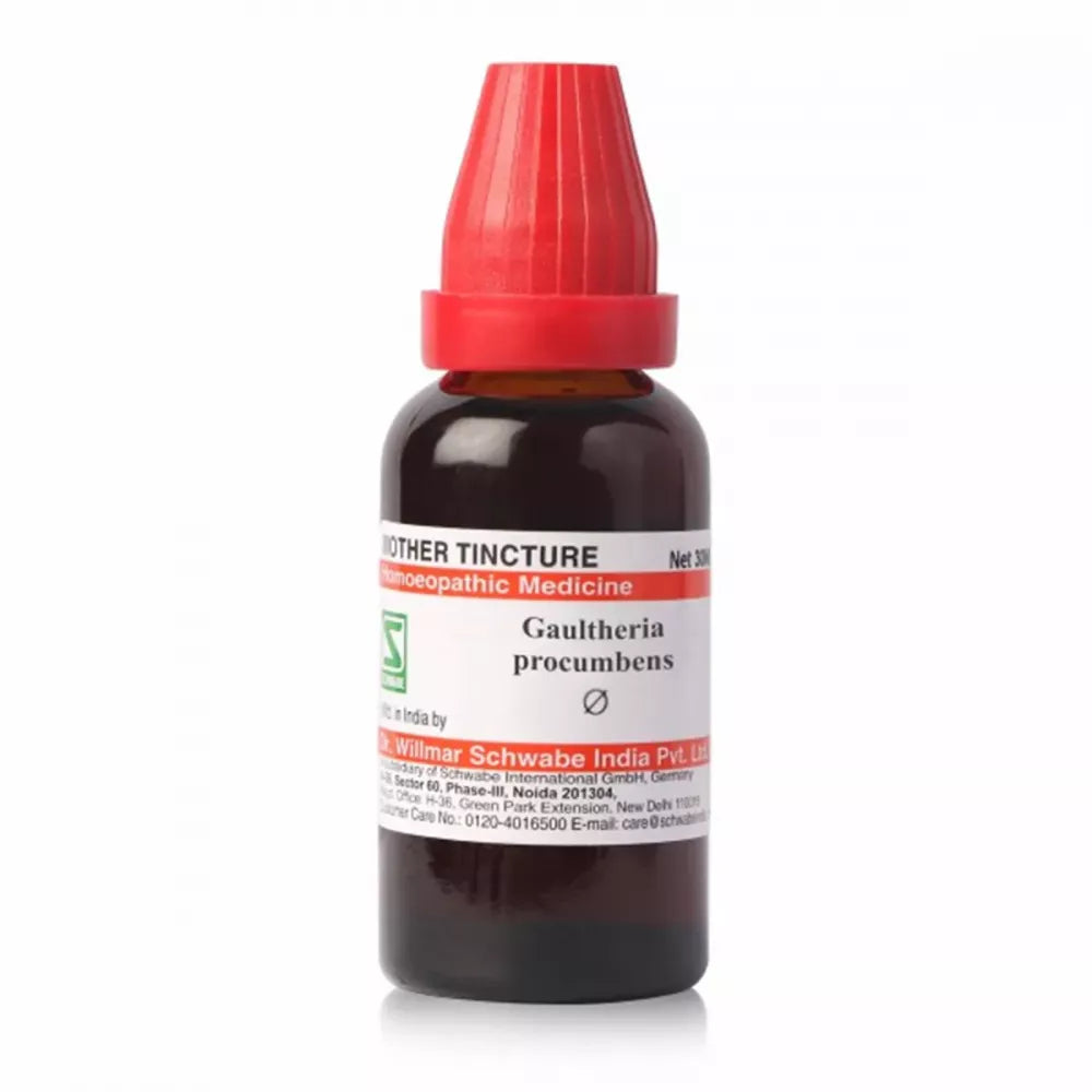 Dr Willmar Schwabe India Gaultheria Procumbens Q Mother Tincture 30ml