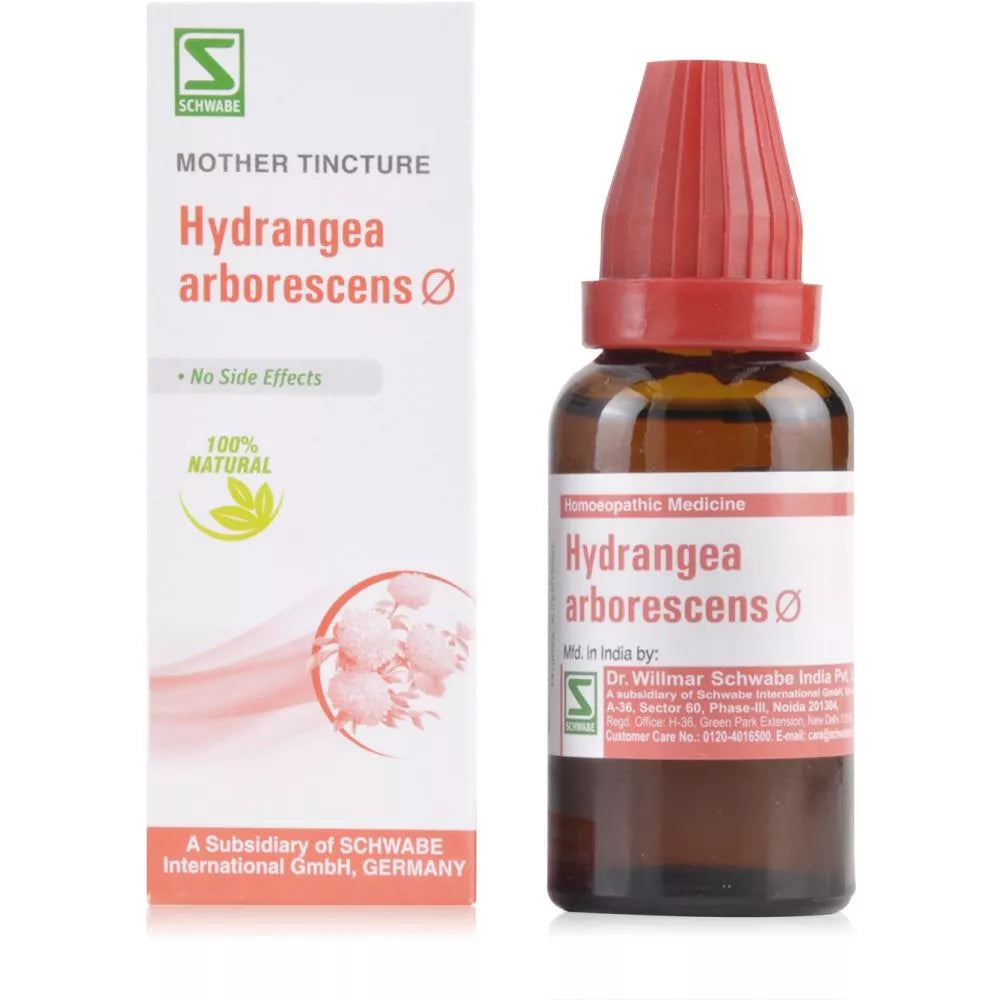 Dr Willmar Schwabe India Hydrangea Arborescens Q Mother Tincture 30ml