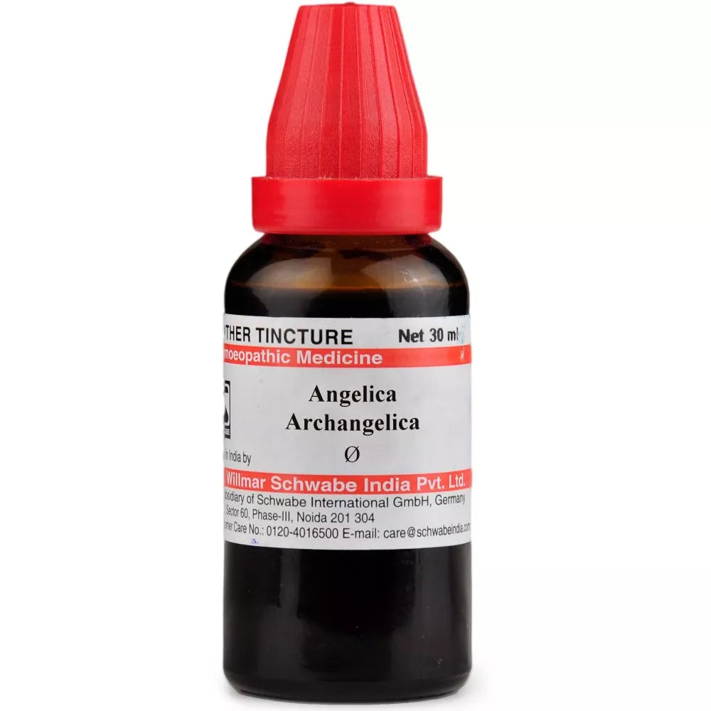 Dr Willmar Schwabe India Angelica Archangelica Q Mother Tincture 30ml