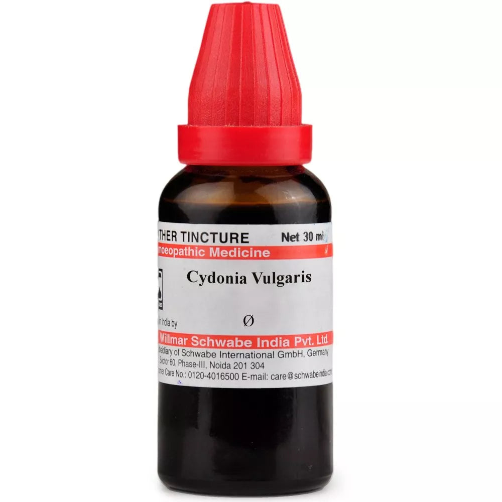 Dr Willmar Schwabe India Cydonia Vulgaris Q Mother Tincture 30ml