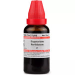 Dr Willmar Schwabe India Eupatorium Perfoliatum Q Mother Tincture 30ml